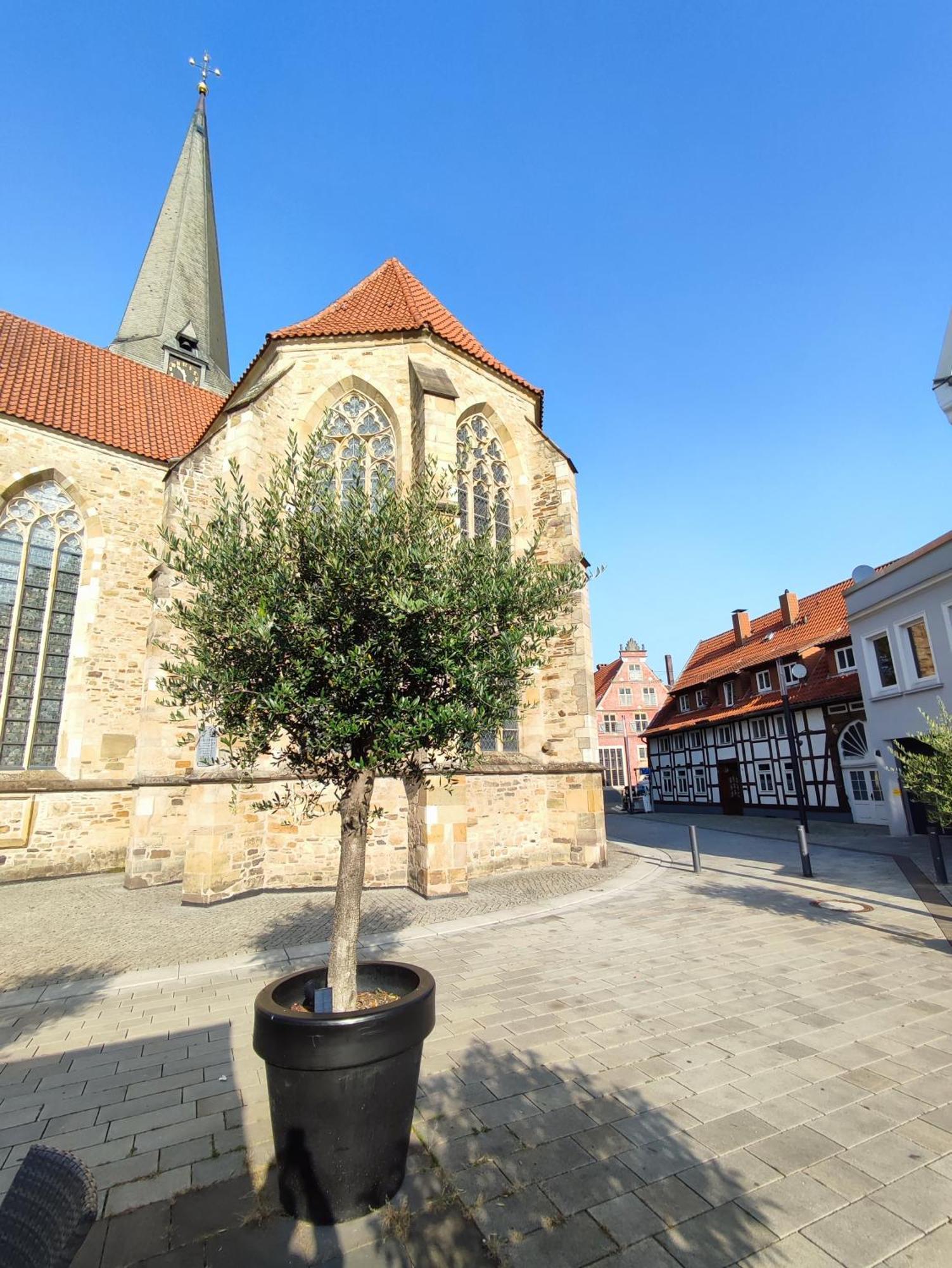 'bright 1' Innenstadtlage, Ruhige, Schoene, Helle 3zkb Wlan *